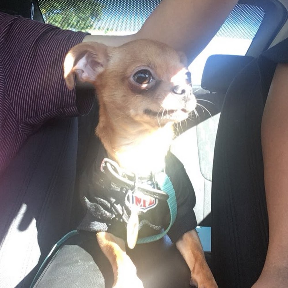 Meet your Posher, Cine'